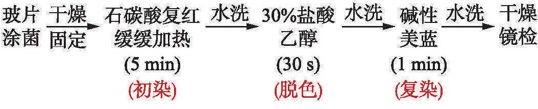 抗酸染色